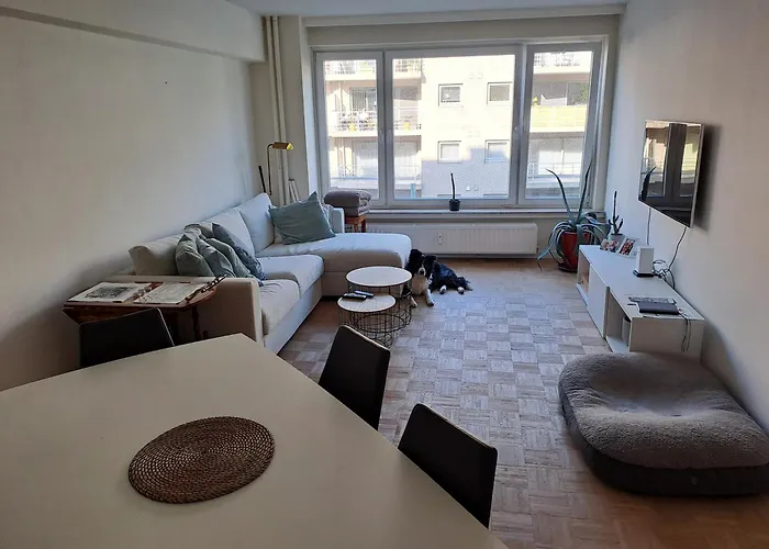 Mooi Appartement In Oud Berchem