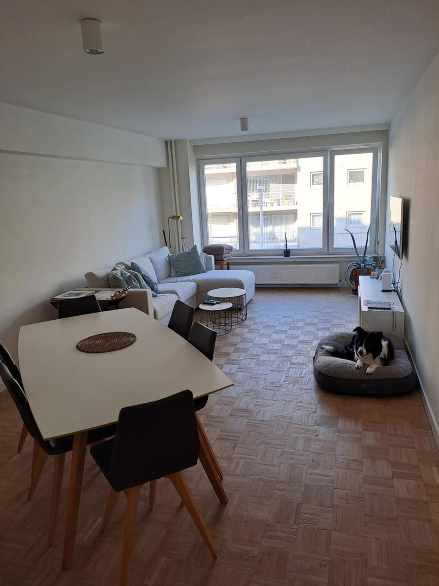 Appartement Mooi In Oud Berchem *